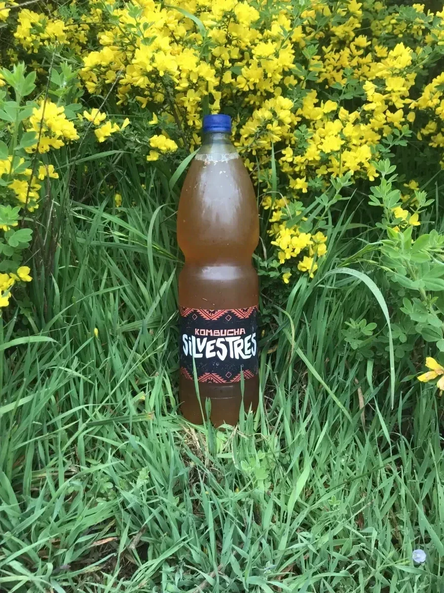Kombucha de 1.5lt